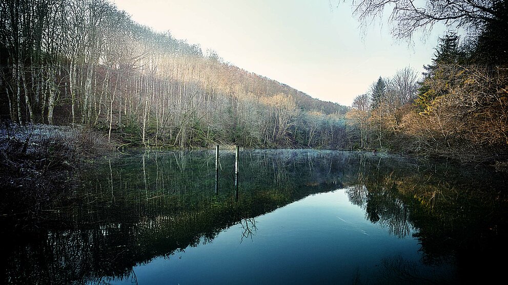 Panoramabild des Forstgut Teiches.