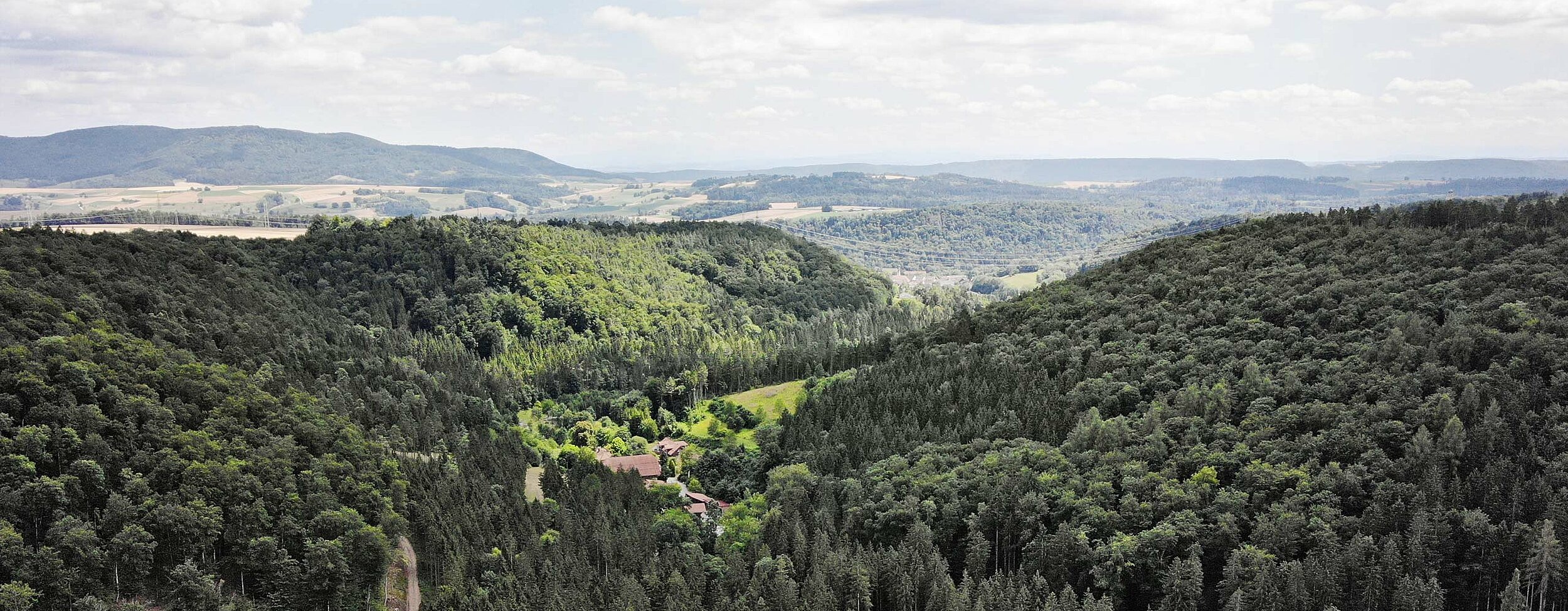 Drohnenaufnahme des Forstgebiet.