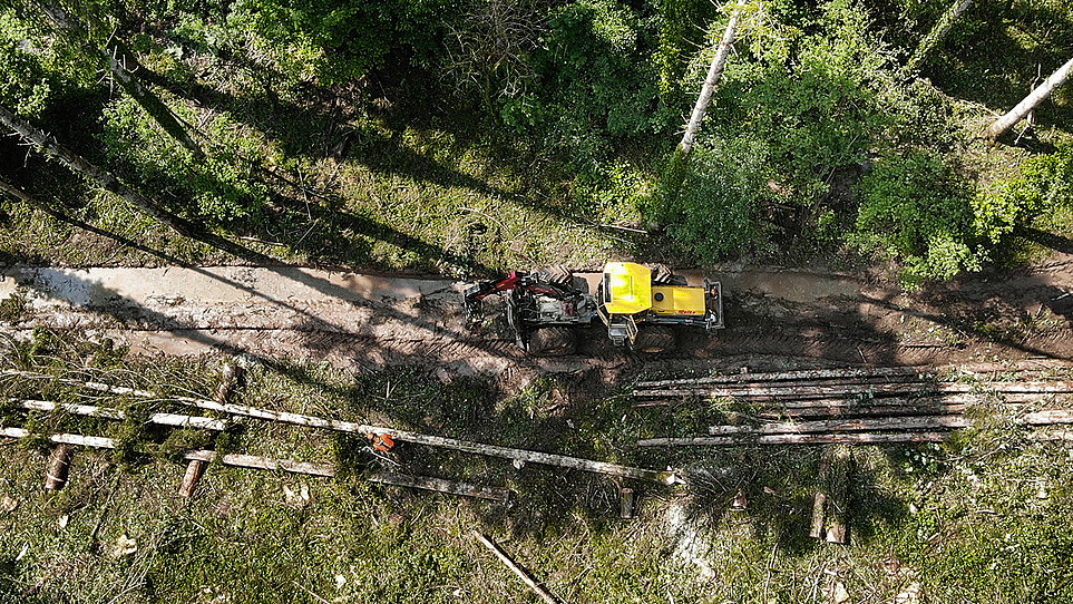 Drohnenaufnahme Forstarbeiten im Wald.