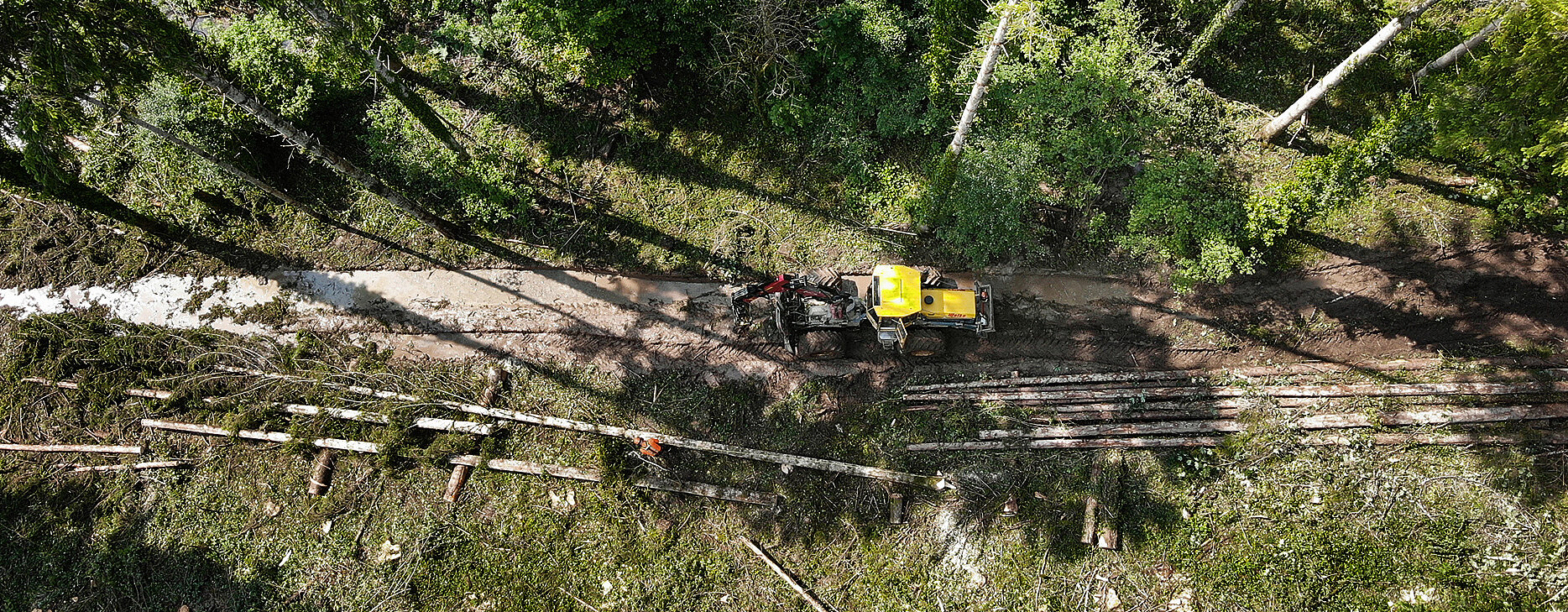 Drohnenaufnahme Forstarbeiten im Wald.